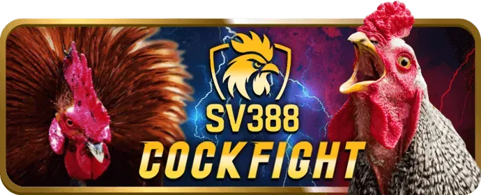 Dịch vụ hỗ trợ khách hàng chuyên nghiệp của SV666